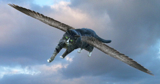 In Memoriam: Prancy ClawDig WallBounce Tramplepaws