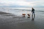 Twelve weeks! Low tide at the beach