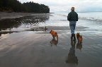 Beauty is the Beach
