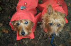 Kwali and Kumbi brave the rain