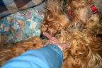 Mum says; Key-All, Settle