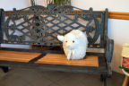 Stuffed Sheep feels much better