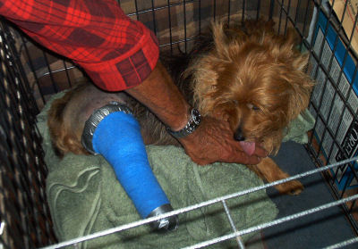 Kwali licks George's hand