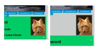 Internet Explorer foils me