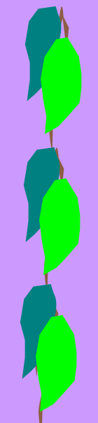 Leaves