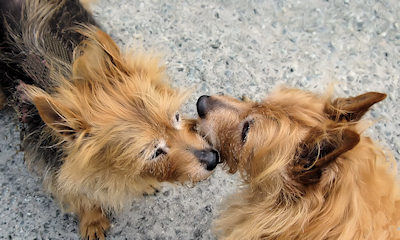 Kwali Kiss Kumbi