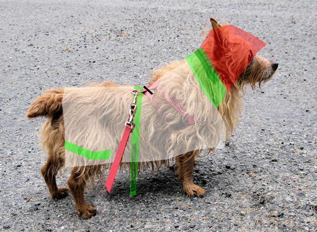 Poncho design for Kumbi