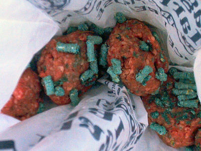 Poisoned ground beef