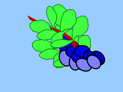 Fresh TidBerries in UnSullied State