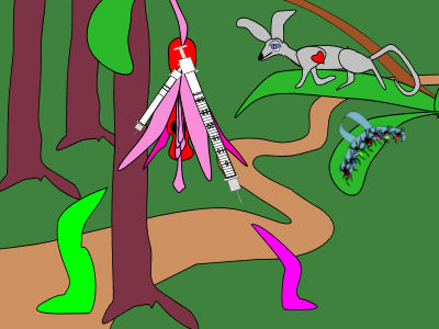 Novie and Vetsie look at the Novie Syringe Bush