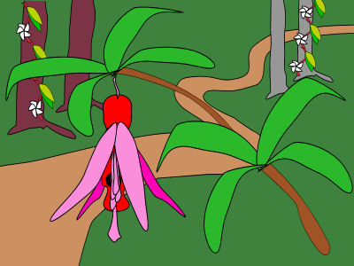 Field Guide to the Novie Syringe Bush