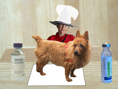 cook prep table can serve for procedures