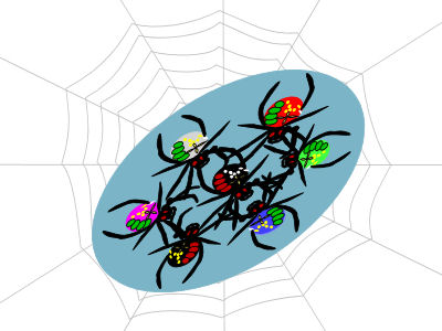 Spider Sisters fill in the brush-backing
