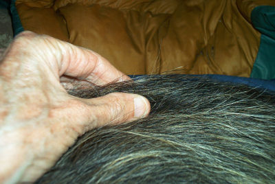 Make a tent in the skin