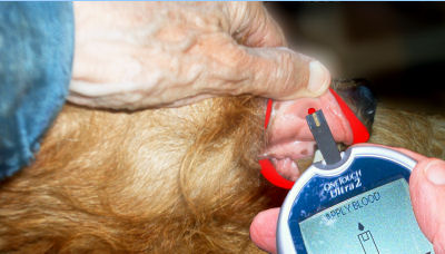 Applying sipping edge to sample