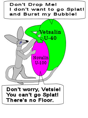 Big Vetsie worries about being dropped
