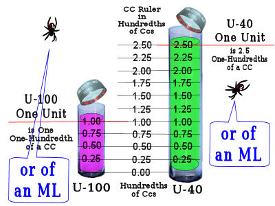 Ruler shows it all at a glance