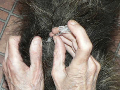 Place finger ready to inject