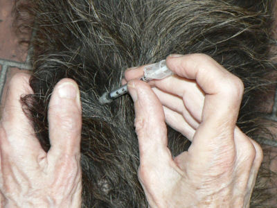Slide needle under skin; inject